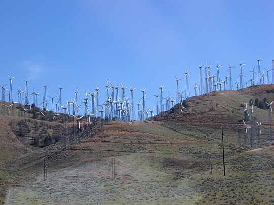 Tehachapi Windmills